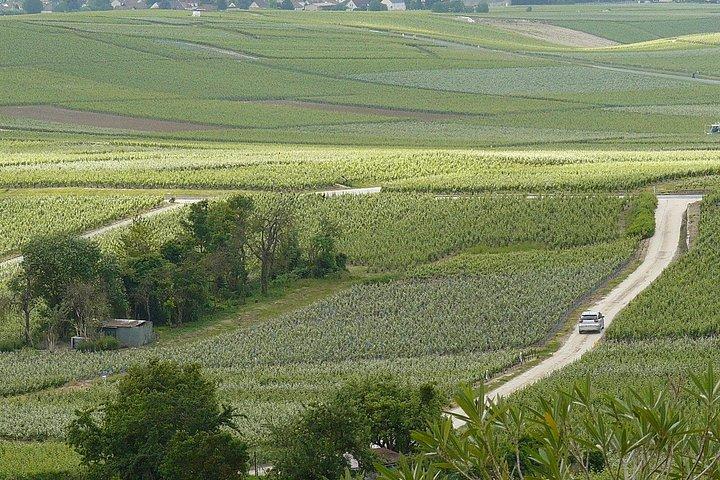 Célébrez en Champagne - Visites, dégustations et déjeuners planifiés sur mesure