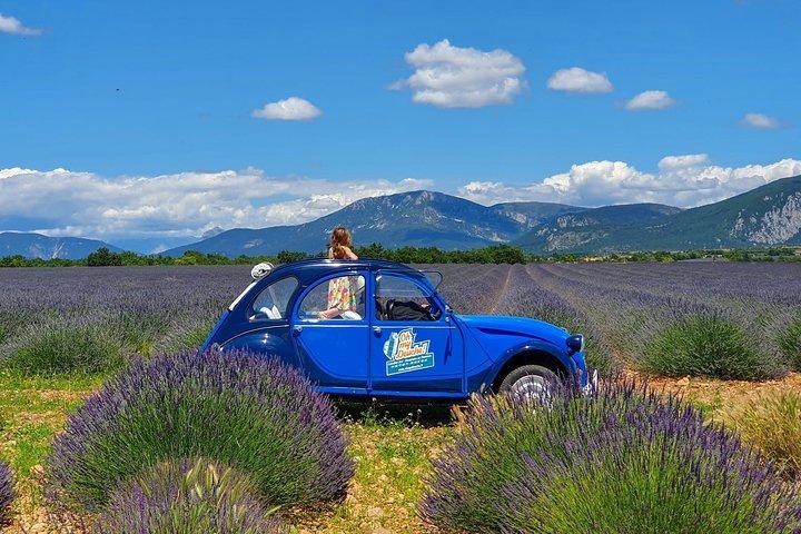 La route de la lavande en 2cv