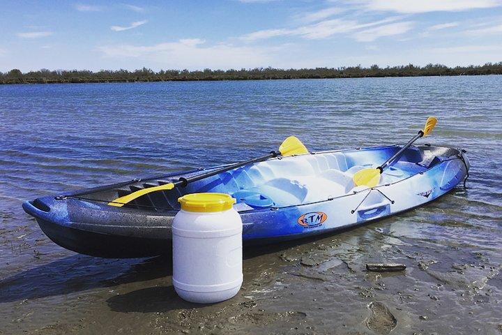 Safari 4x4 Camargue 2h + Pique-Nique + Kayak
