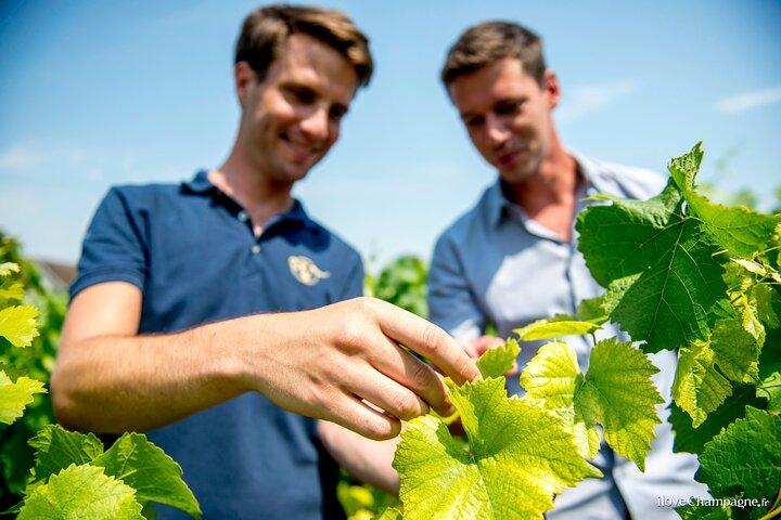 Circuit privé en Champagne, petit vignerons et déjeuner