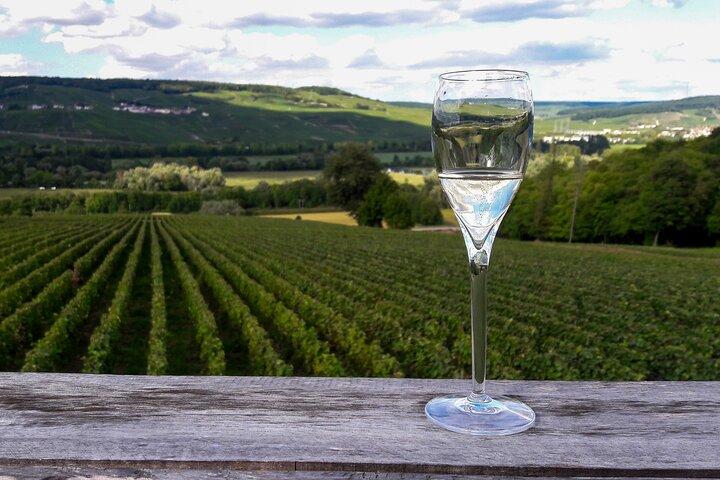 Excursion privée d'une journée en Champagne avec déjeuner