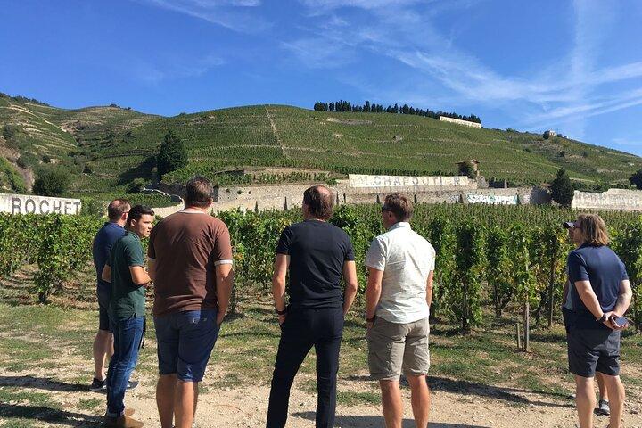 Vallée du Rhône nord, sur la route des Crus