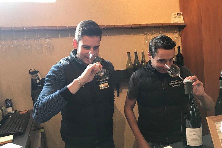 Visite privée d'une journée complète de la route du vin de Bourgogne au départ de Beaune
