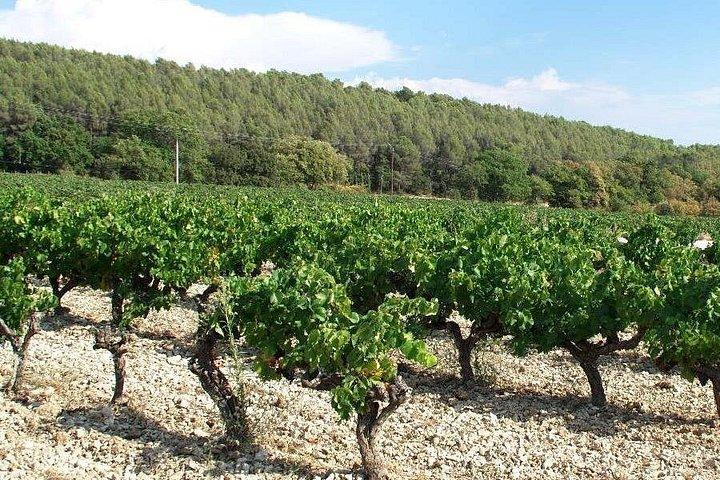 Balade Oenogourmande Privée dans le Luberon avec Dégustations