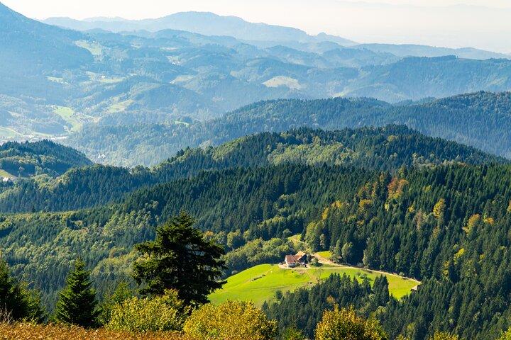Excursion d'une journée en Allemagne avec Baden-Baden et la Forêt-Noire au départ de Strasbourg