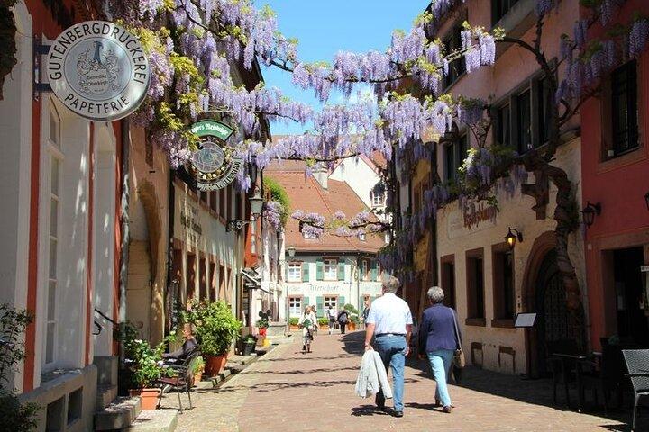 Excursion d'une journée en France, en Allemagne et en Suisse au départ de Colmar