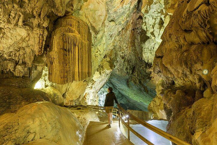 Billet Couplé Grottes et Animations préhistoriques du parc