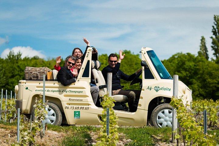 Visite guidée du vignoble d’Aÿ et dégustation de Champagne