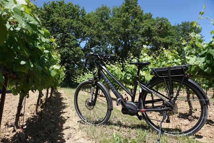 Journée à vélo électrique dans le Luberon