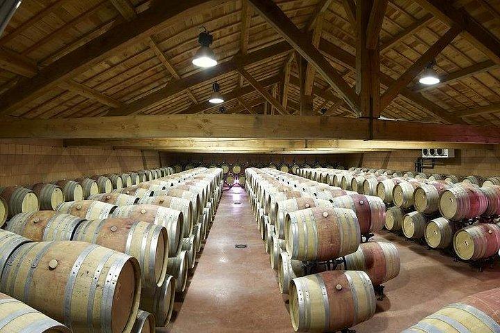 Excursion viticole privée d'une demi-journée sur les Côtes du Rhône au départ de Lyon