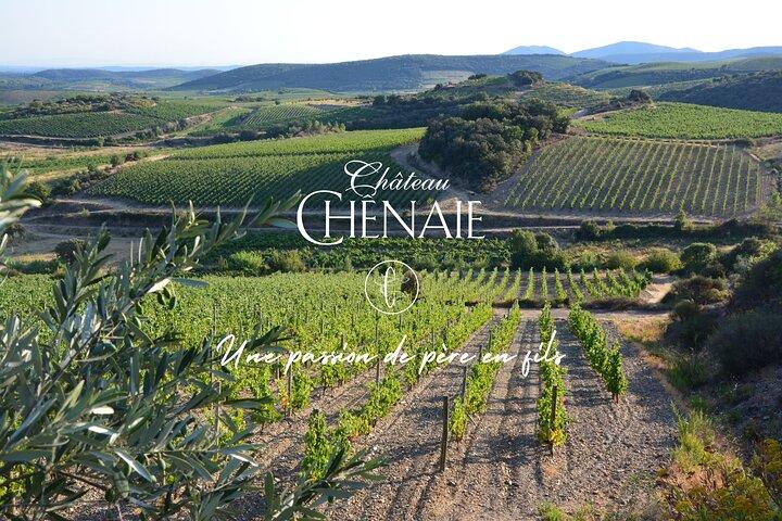 Visite guidée avec un vigneron : De la vigne jusqu'au verre...