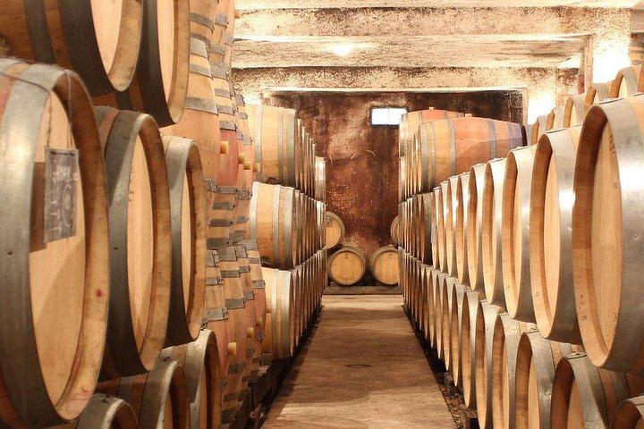 Visite-Dégustation-Vente