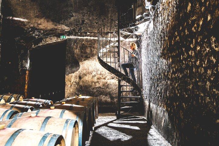 Bordeaux : Visite du château, caves souterraines & dégustation de vins