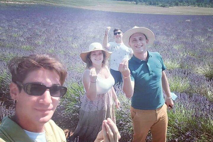 Visite privée découverte de la lavande en Provence