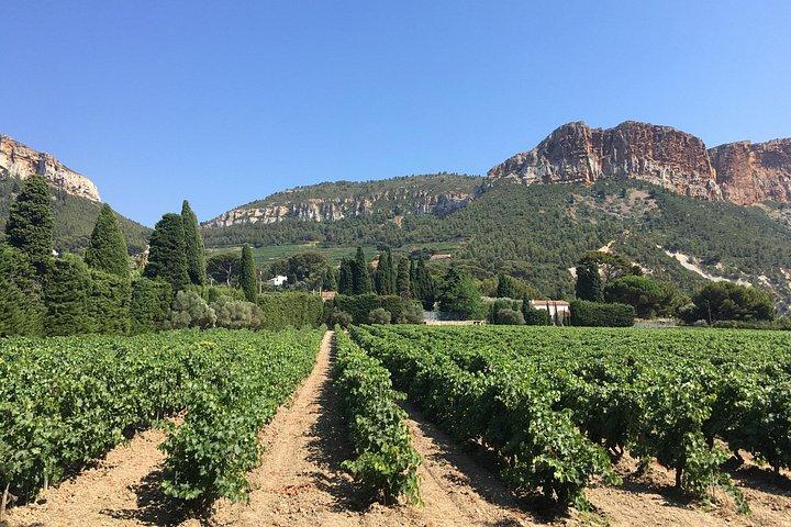 Excursion œnologique d’une demi-journée à Bandol et Cassis au départ d’Aix-en-Provence