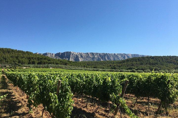 Excursion d'une journée autour d'Aix en Provence et dégustation de vins