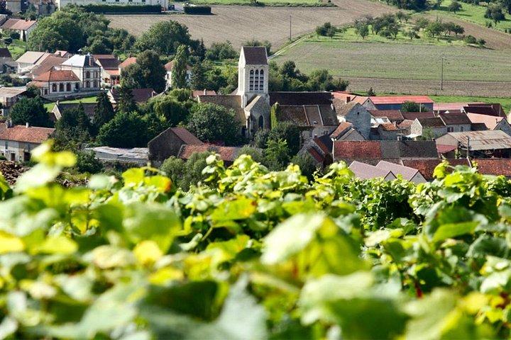 Taittinger Champagne Dégustations Caves Voyage privé au départ de Paris