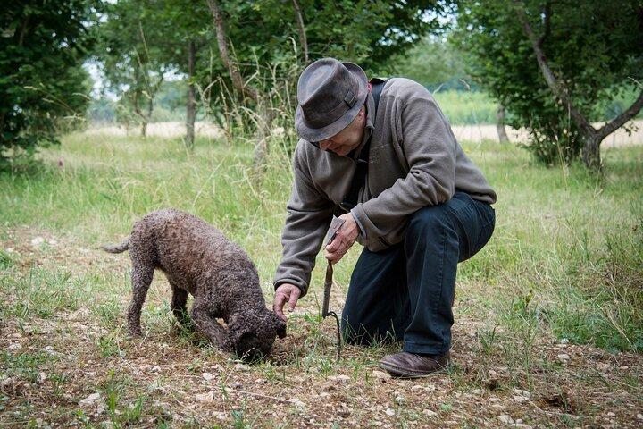 Démonstration de Cavage des Truffes