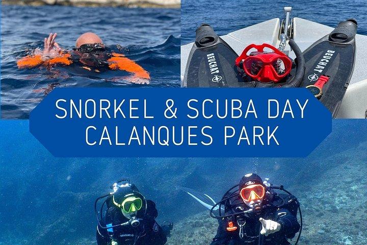 Journée complète de plongée libre et de plongée guidée dans le parc national des Calanques au départ de Marseille