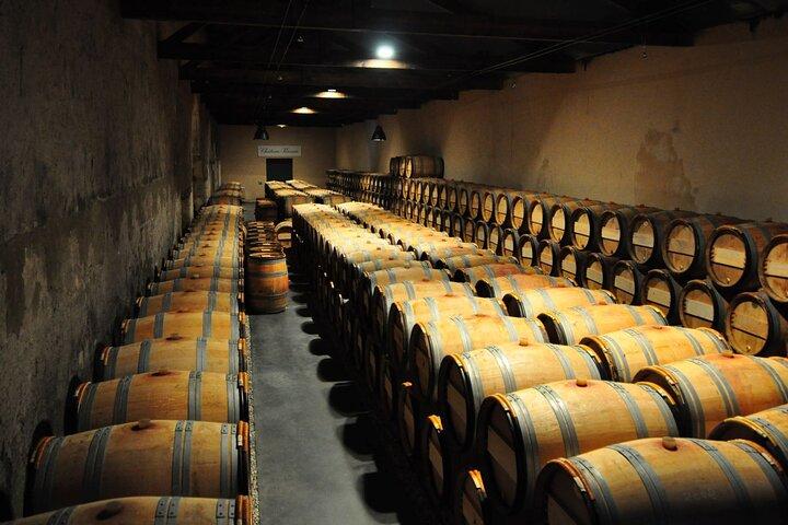 Excursion d'une journée dans la région du Médoc avec visites de vignobles et dégustations au départ de Bordeaux
