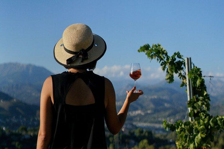 Visite des vignobles avec dégustation de vin à Nice