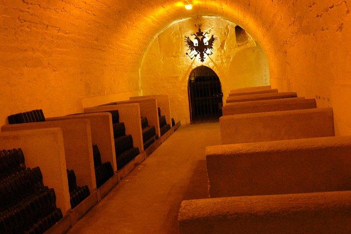 Excursion d'une demi-journée de champagne planifiée sur mesure pour les groupes privés de 8+