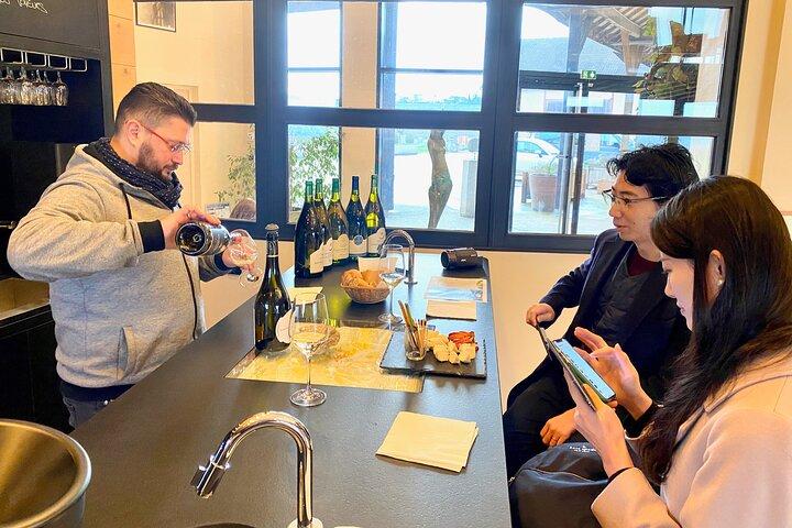 Dégustation de vins exquis Château Pommard, visite en petit groupe de Chablis