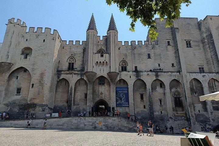 Visite privée d'une journée à Avignon et dégustation de vin Châteauneuf du Pape