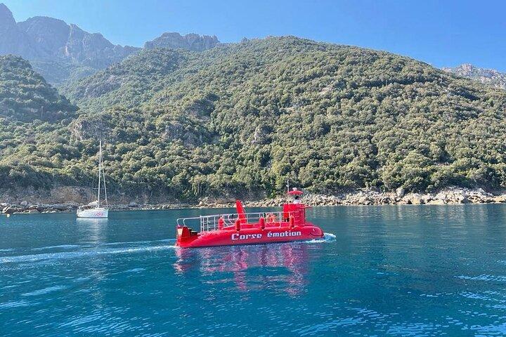 Semi sous-marin : visite des fonds marins de la baie de Porto