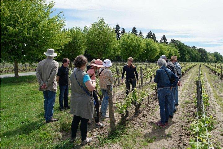 Visite privée d'une journée des vins de la vallée de la Loire avec dégustations de Tours ou d'Amboise