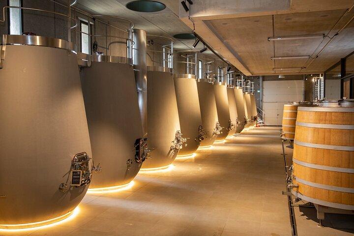 Vin, huile d'olive et villages pittoresques de Provence