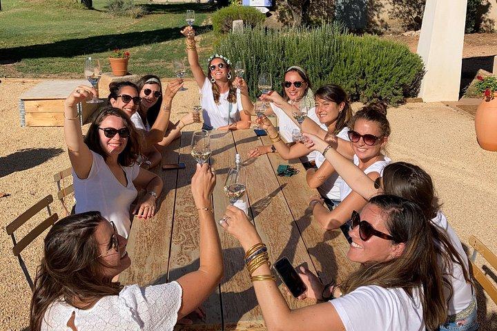 Visite d'une demi-journée des vins en Côtes de Provence Sainte-Victoire d'Aix en Provence