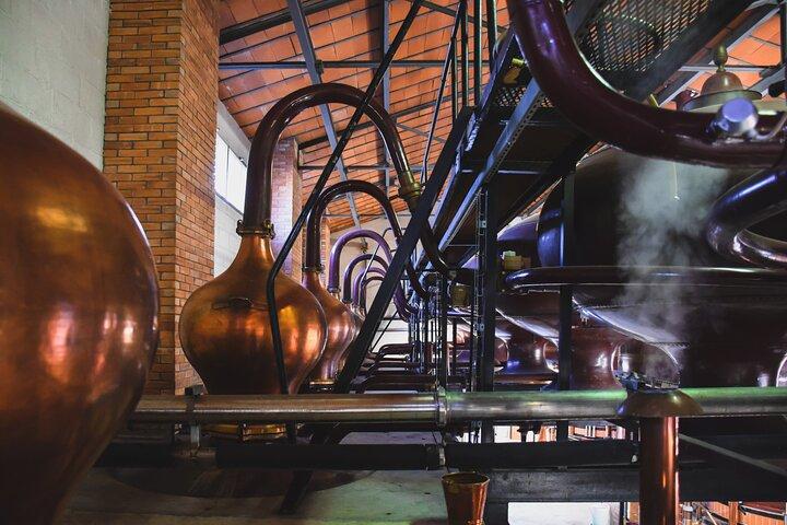 Visite découverte Braastad Cognac
