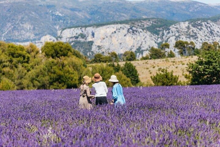 Visite privée des Gorges du Verdon et des champs de lavande à Nice