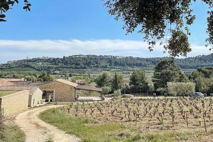 Dégustation des vins de Bandol et visite de cave (en anglais)