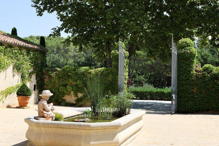 Visite privée du Luberon, vignobles, huile d'olive, Lourmarin