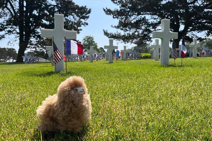 Visite privée des plages du Débarquement en Normandie et du Mémorial de Caen