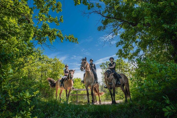 Excursion d'une journée à Fontainebleau : équitation, gastronomie et château