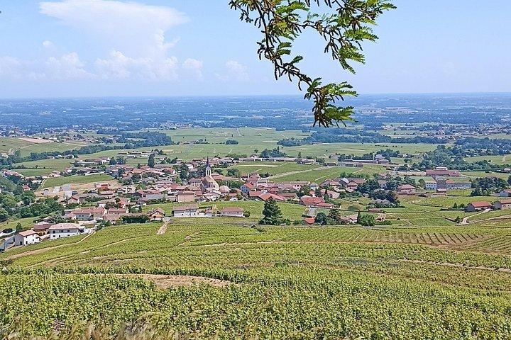 Visite Guidée Demi-Journée avec Dégustation de Vins du Beaujolais