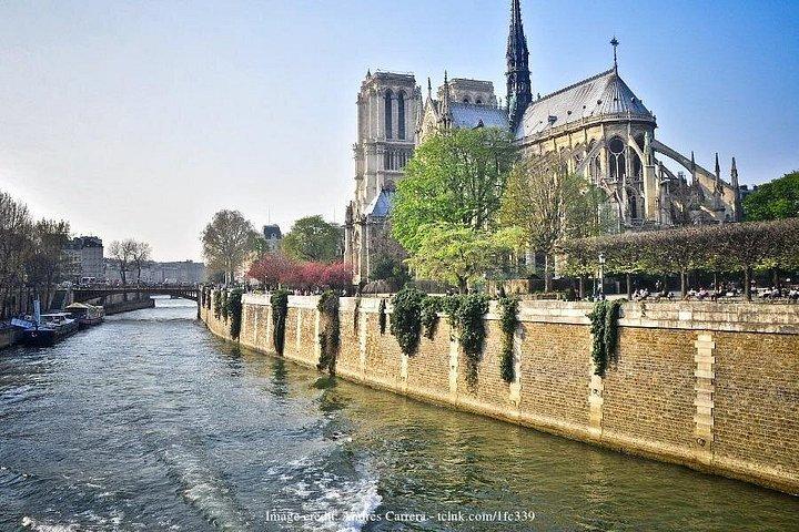 Visite privée de 2h de l'île de la Cité avec quartier latin et Seine