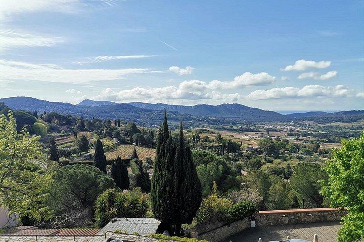 Vins et Charme du Luberon : Découvrez les Saveurs du Sud