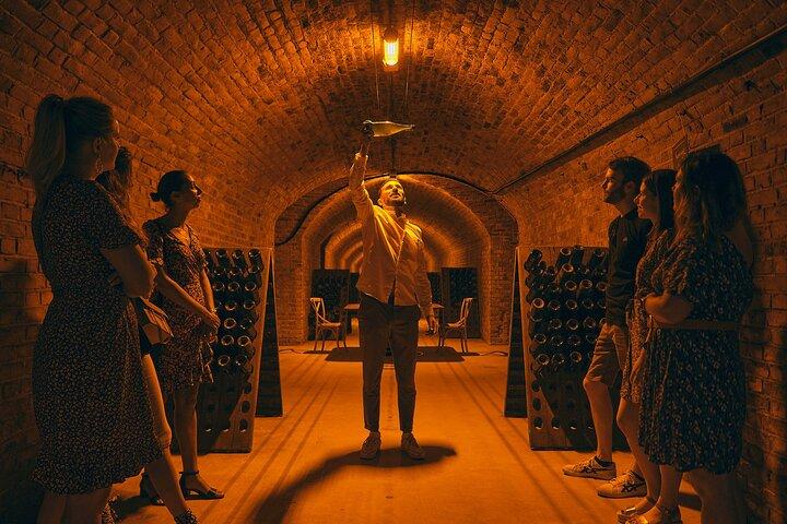 Au départ de Reims : visite guidée en petit groupe dans la région de Champagne avec dégustations et déjeuner