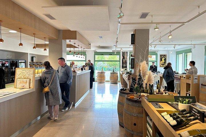 Dégustation de vins et fromages au Château Pommard de Bourgogne