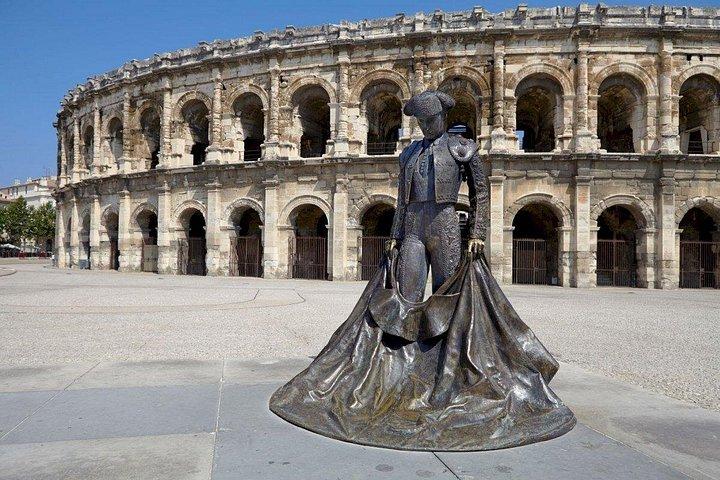 Visite privée d'une journée à Arles et en Camargue au départ de Marseille ou d'Aix