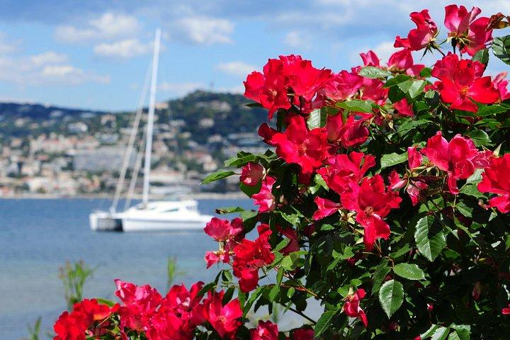 Excursion à terre à Grasse, Antibes, St Paul de Vence au départ de Cannes
