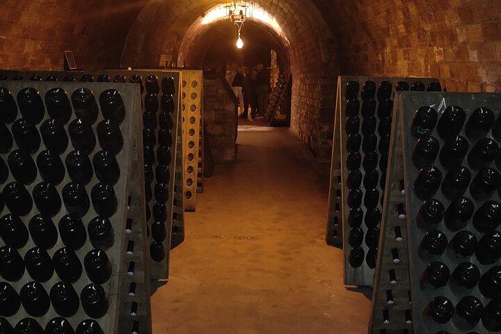 Visite de cave et balade dégustation dans les vignes