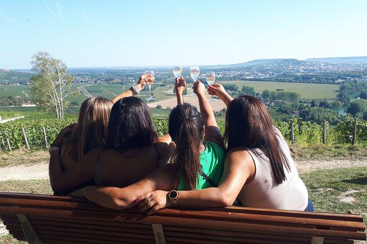 Dégustation de champagne, balade panoramique dans les vignes