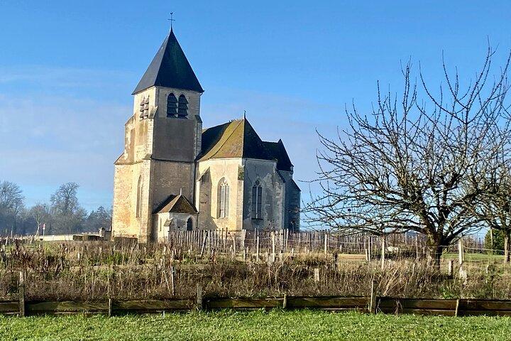 Bourgogne Privée 3 Domaines Château Pommard Chablis 15 Vins Voyage