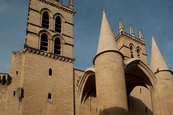 Visite privée à pied historique à Montpellier