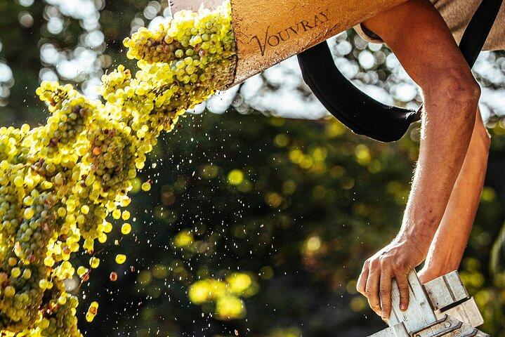 Visite d'une demi-journée des vins du Val de Loire à Vouvray